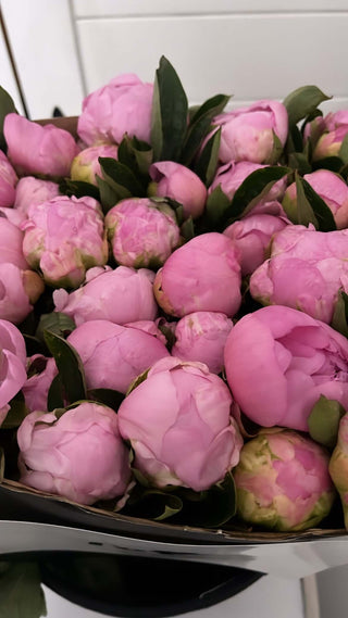 Fresh pink peonies in a bouquet, showcasing vibrant blooms for next day delivery in London.
