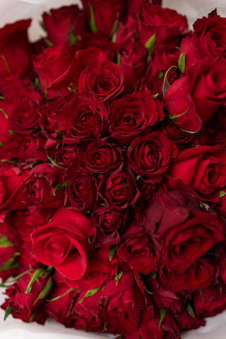 Luxury Red Roses