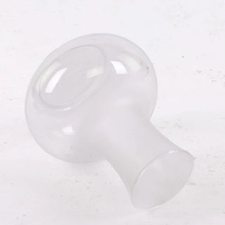 Frosted Vase