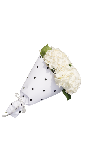 Hydrangeas In Polka