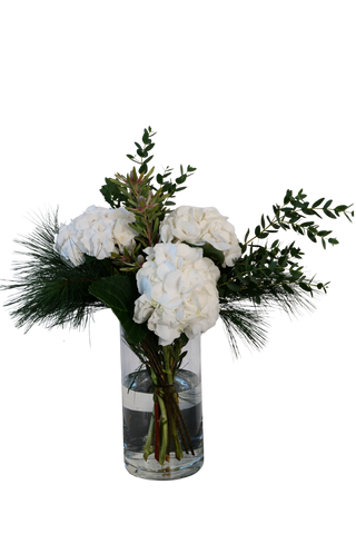 Winter Hydrangea Elegance