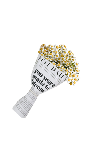 The Daisy Bouquet